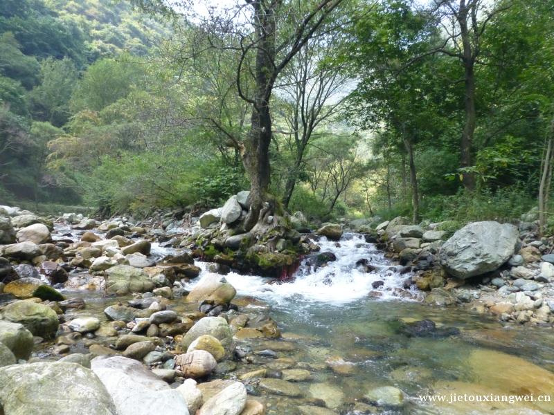 秦岭国家植物园田峪河景区